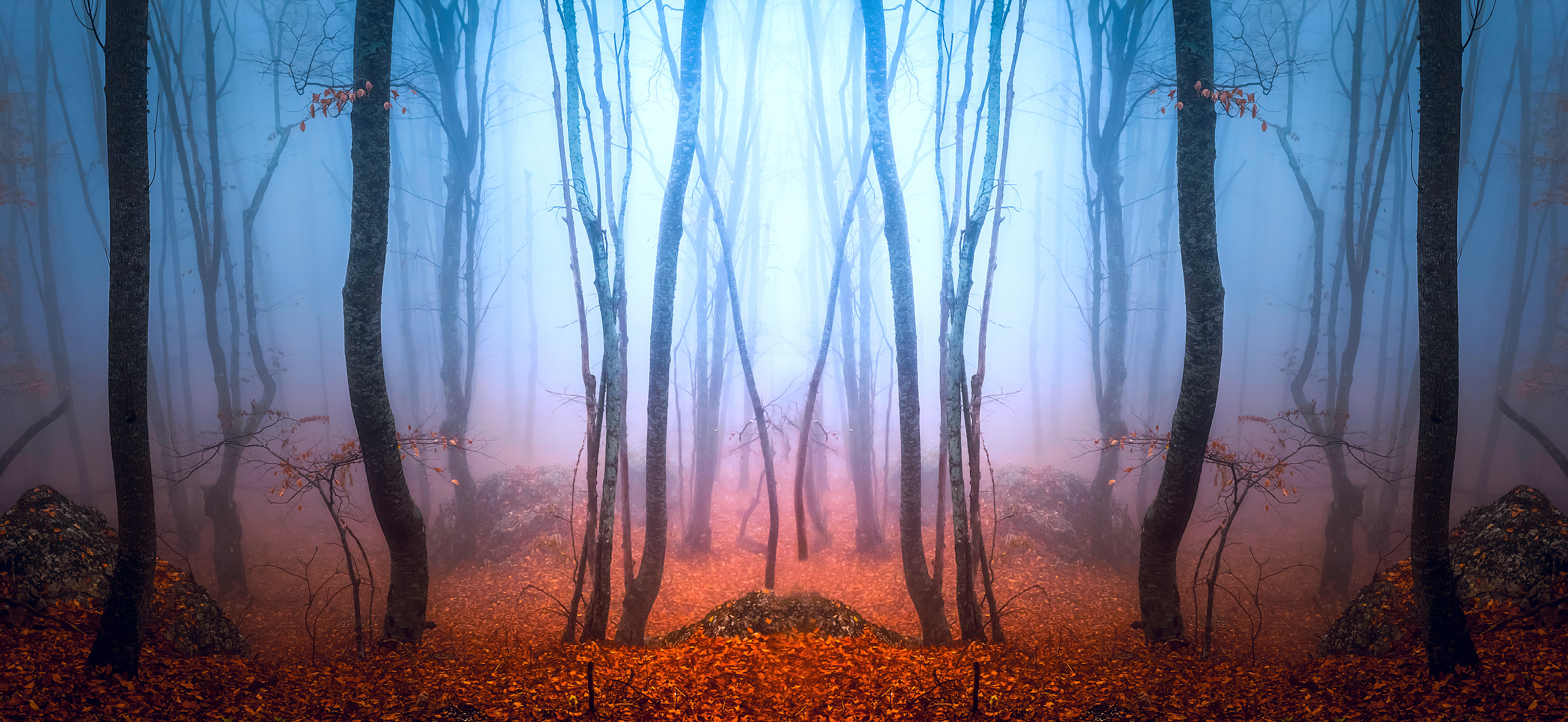 MistyTrees